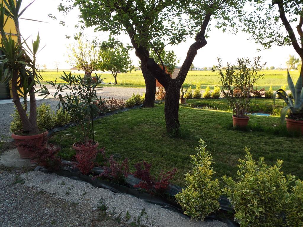 B&B Il Portico Praticello di Gattatico Exteriör bild